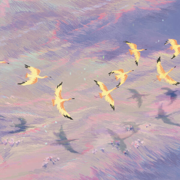 基礎人物教學(test)